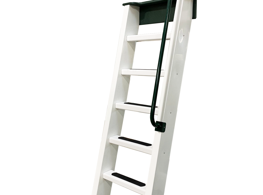 Entrance Ladders