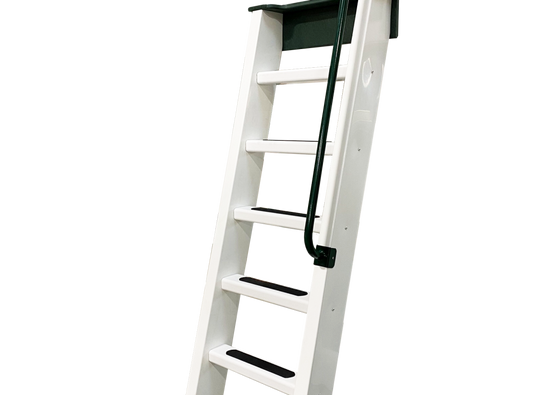 Entrance Ladders