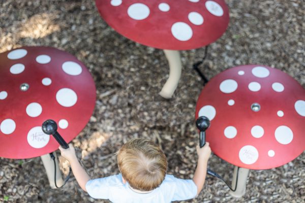 Mushrooms Inground