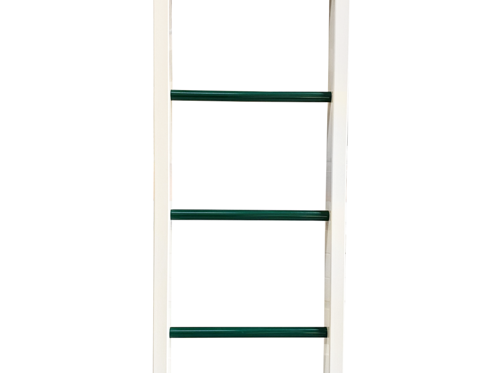 Tower Mounting Ladder