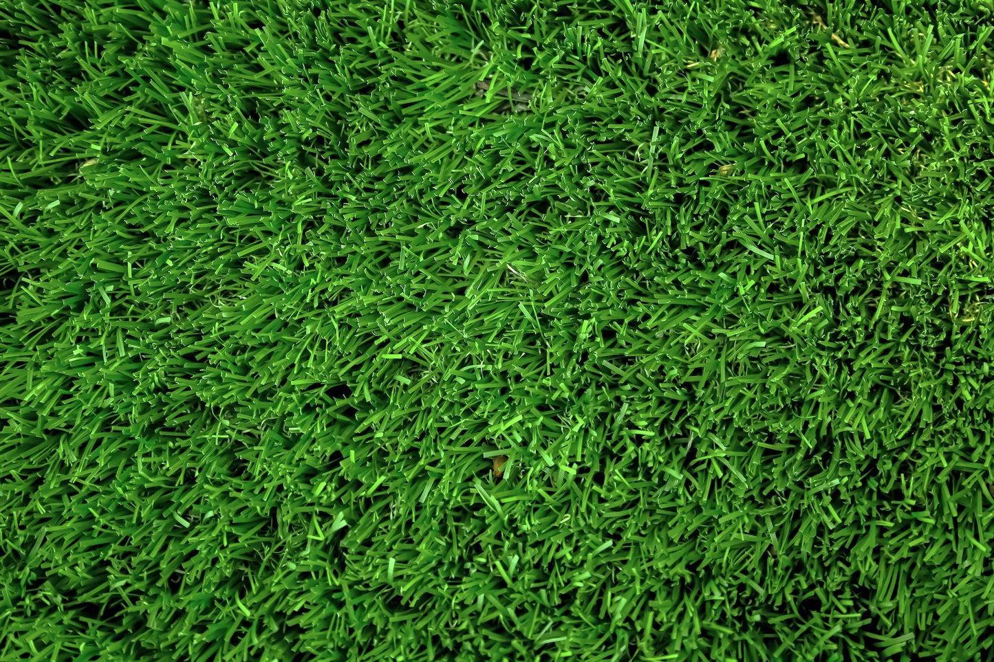 Synthetic Turf